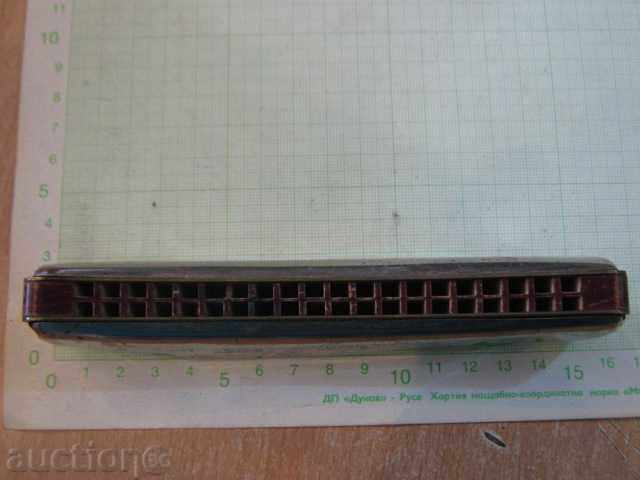 Livrarea Muzicuță "Radio Star" Livrarea Muzicuță "Radio Star"