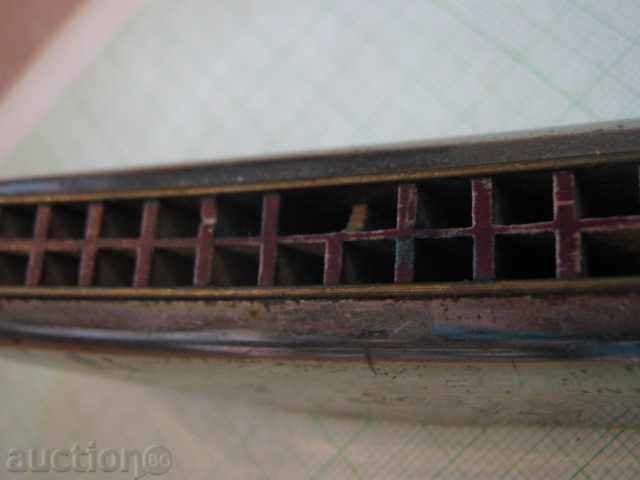 Muzicuță "Radio Star" - 6 Muzicuță "Radio Star" - 6