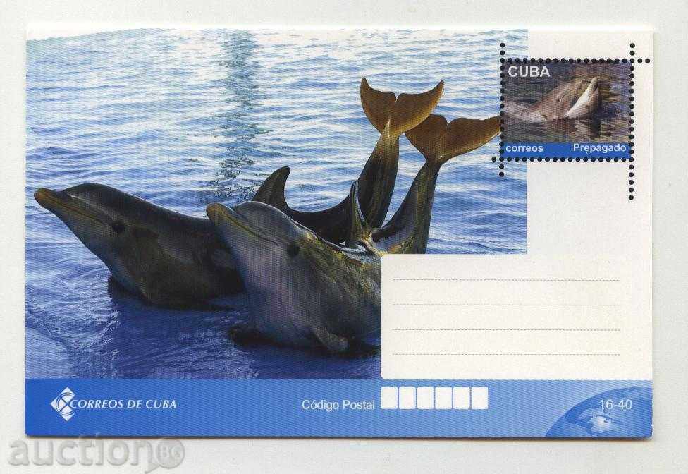 Пощенска картичка Делфини от Куба