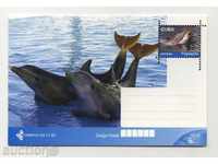 Пощенска картичка Делфини от Куба
