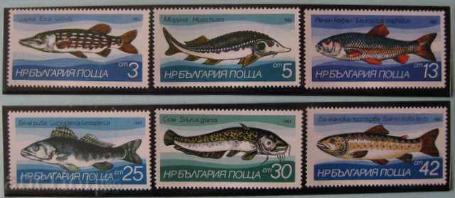 3203-3208 Pești de apă dulce.
