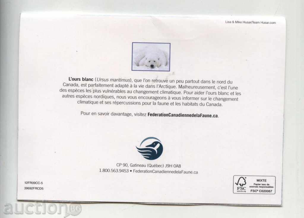 White bear bear from Canada with price 1.00 BGN | € 0.51 White bear bear from Canada with price 1.00 BGN | € 0.51