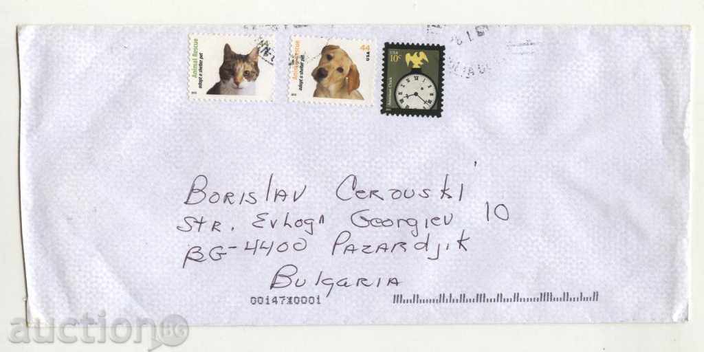 Traveled dog envelope, Cat 2010 from USA