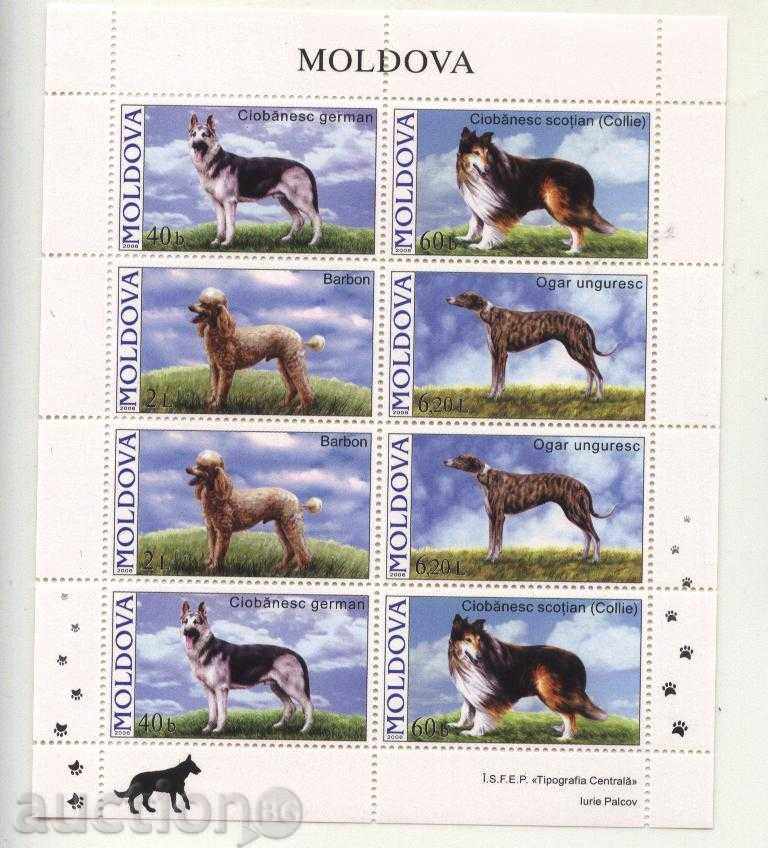 Pure Brands in Small Sheet Dogs 2006 from Moldova