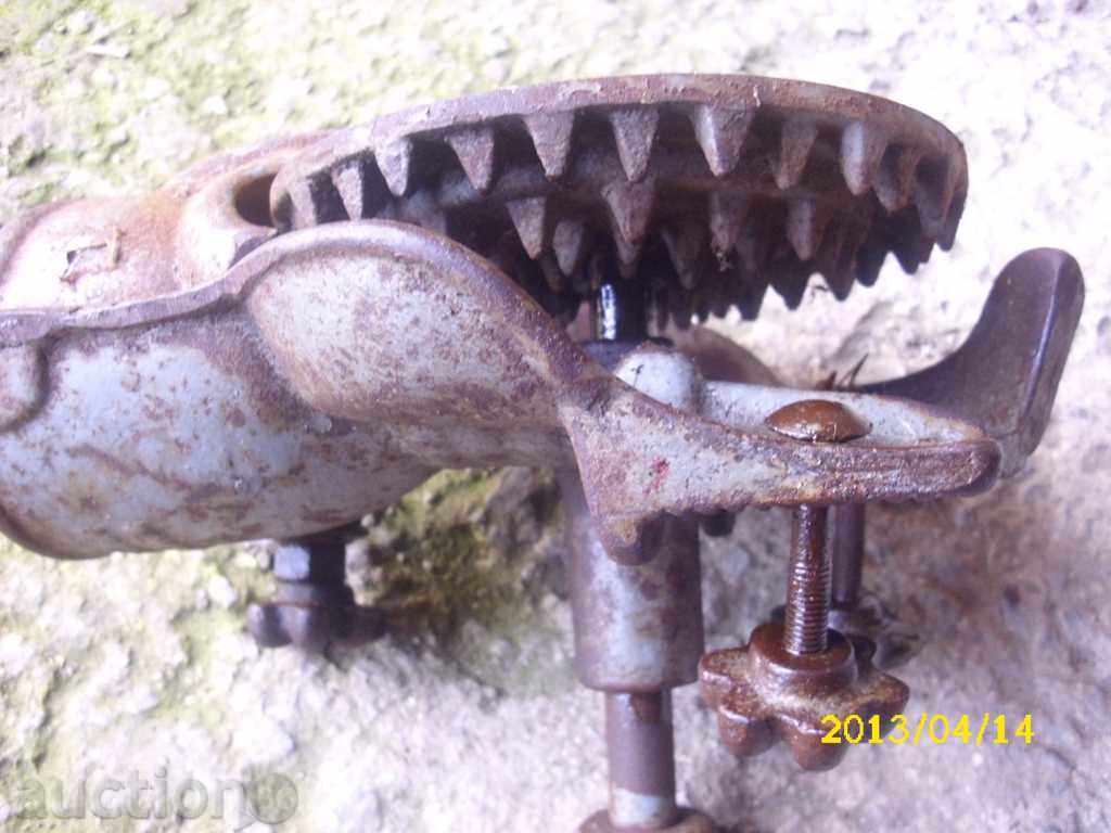 STARA ROANACHKA - 5 STARA ROANACHKA - 5