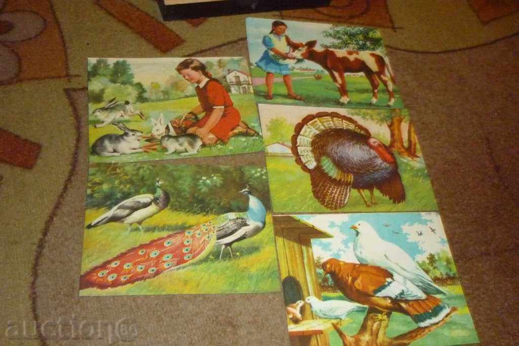 Δημοπρασία παζλ κύβος παιχνίδι Παλιά παιδιών Δημοπρασία παζλ κύβος παιχνίδι Παλιά παιδιών