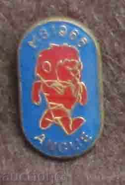 football badge SP 1966 England