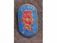 football badge SP 1966 England