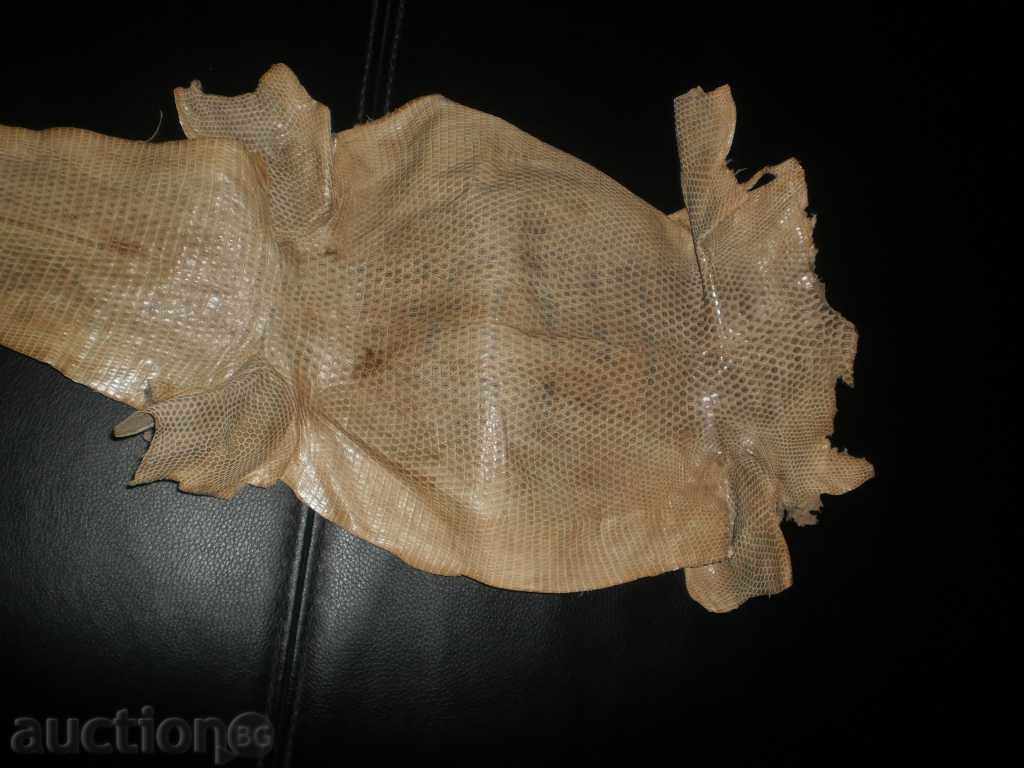 Natural leather of lizard gicon, new price with price 180.00 BGN | € 92.03 Natural leather of lizard gicon, new price with price 180.00 BGN | € 92.03