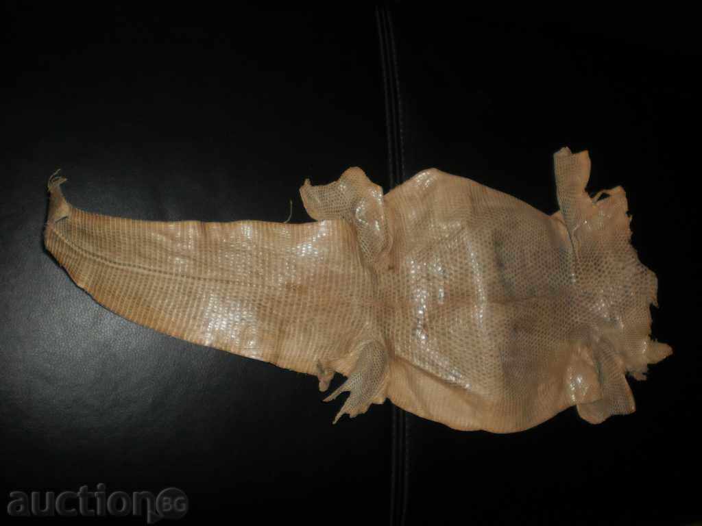 Delivery of Natural leather of lizard gicon, new price Delivery of Natural leather of lizard gicon, new price