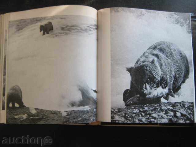 Auction Book "Wave after Wave - Sven Yilseter" - 182 pages Auction Book "Wave after Wave - Sven Yilseter" - 182 pages