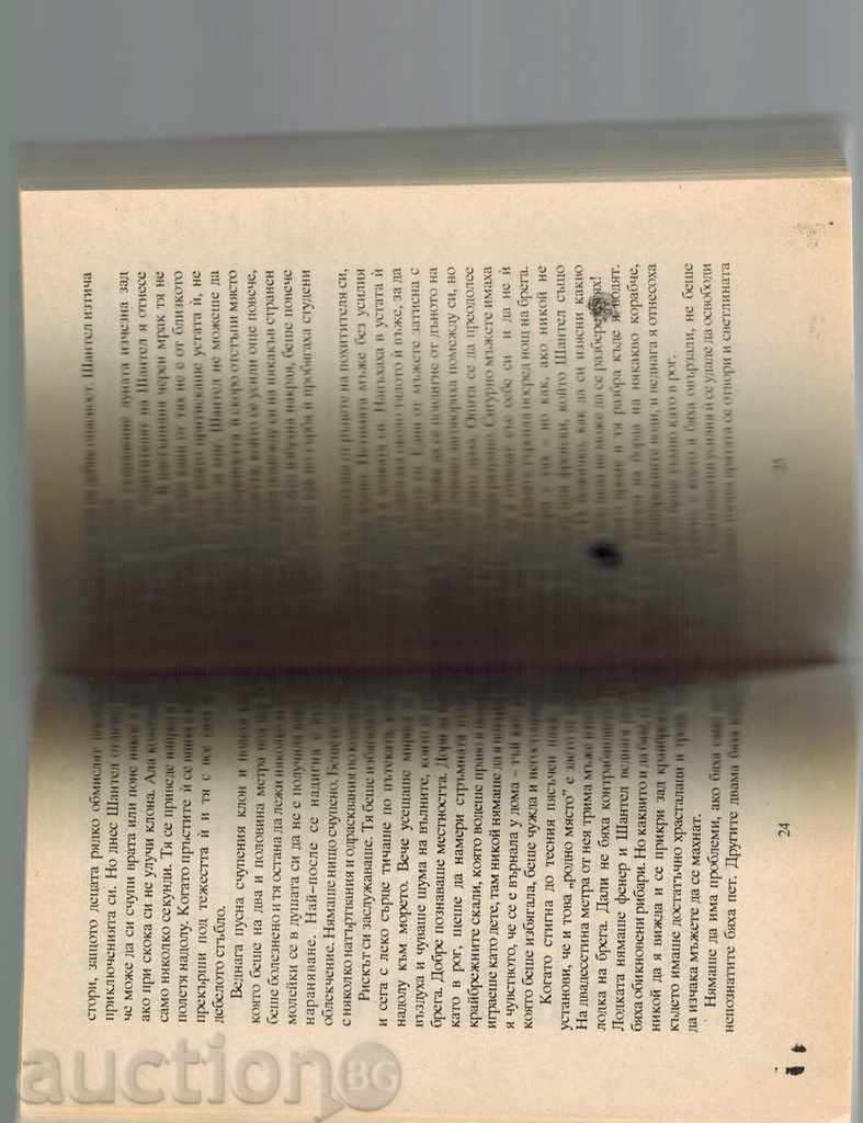 Delivery of THE SILVER ANGEL - JOANA LINDZI Delivery of THE SILVER ANGEL - JOANA LINDZI