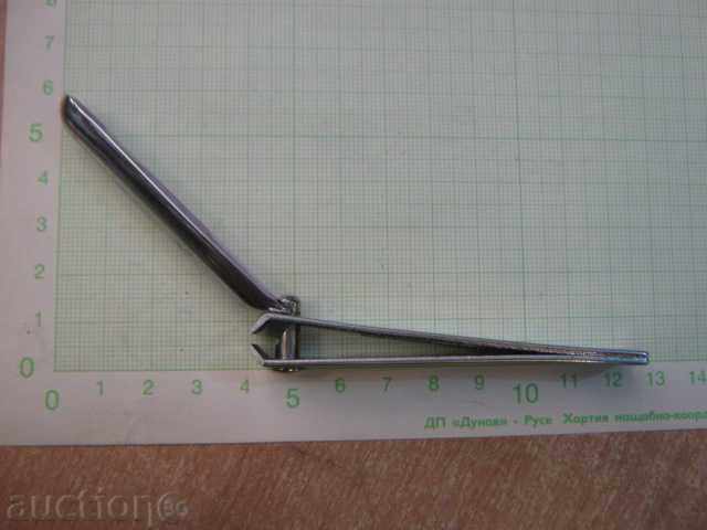 Delivery of Nodder big Delivery of Nodder big