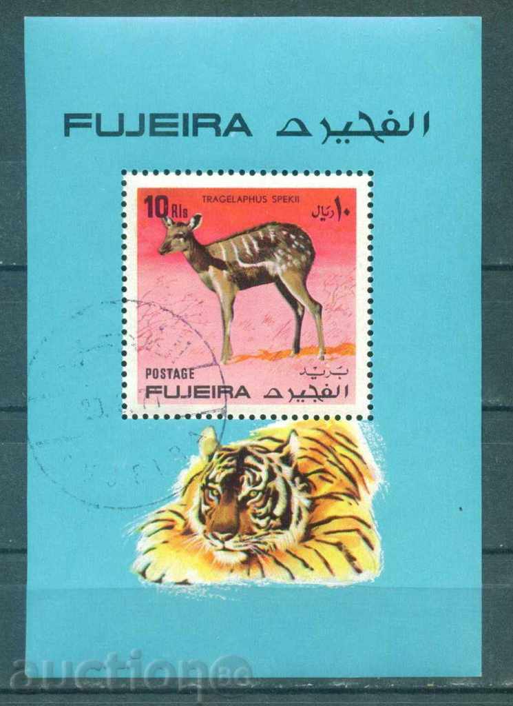 31K194 / Fujairah - FAUNA TIGER BLOCK