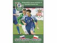 Football program Slovenia-Poland 2008