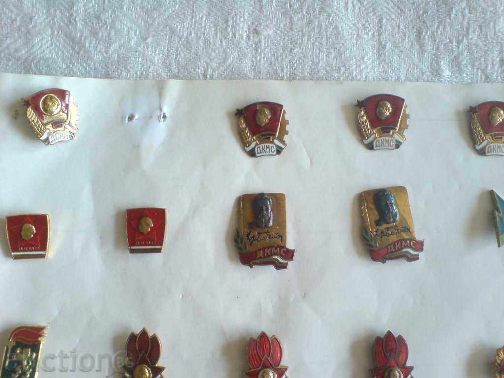 Livrarea Lot de insigne Livrarea Lot de insigne