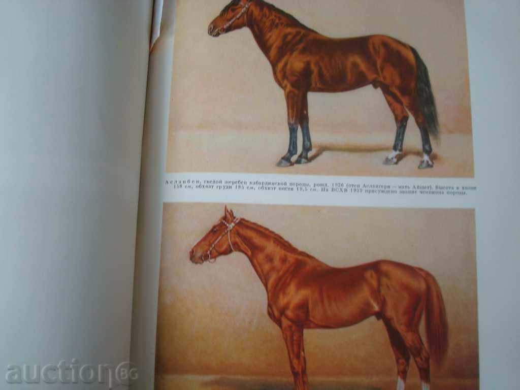 Delivery of Rural-stop encyclopedia, Gol.F-t635p. Published in 1951. Moscow Delivery of Rural-stop encyclopedia, Gol.F-t635p. Published in 1951. Moscow