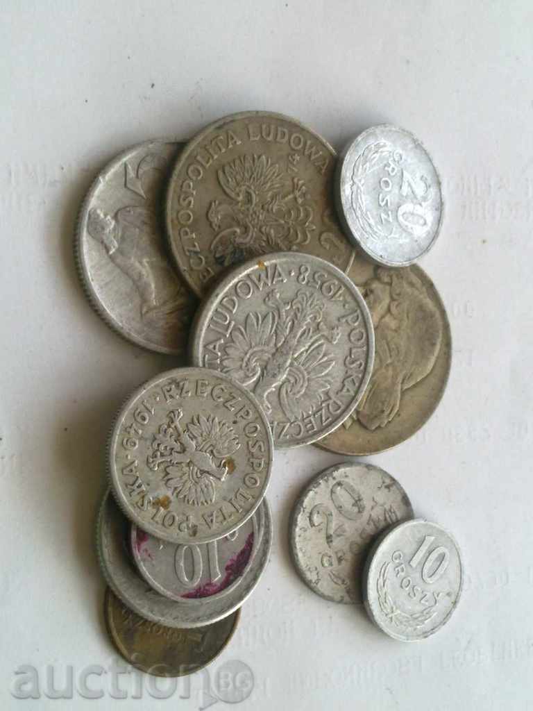 Lot monede poloneze