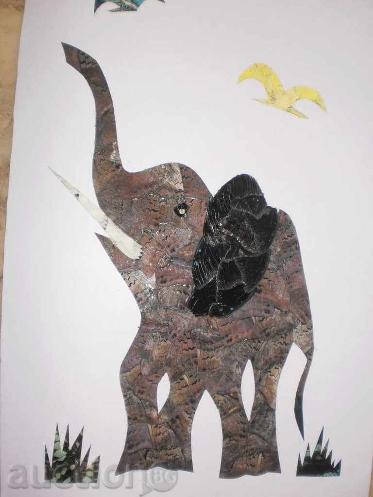 Elephant-series paintings made from butterfly wings with price 35.90 BGN | € 18.36 Elephant-series paintings made from butterfly wings with price 35.90 BGN | € 18.36