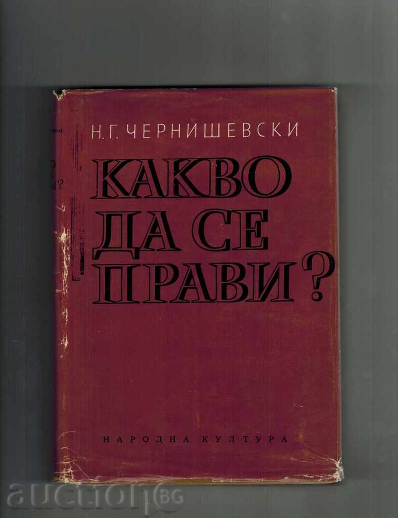 WHAT CAN YOU DO? - NG CHERNISHEVSKI 1969