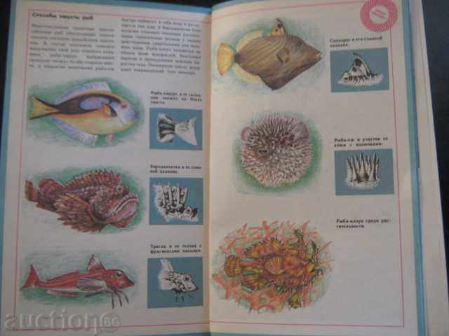 Book "Рыбы амфибии рептилии - Т.Александровская" - 208 pages - 5