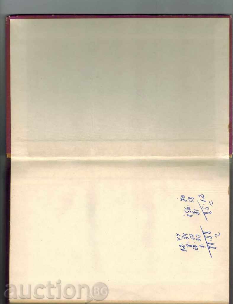 Auction  CLIMATE - ANDRE MORA