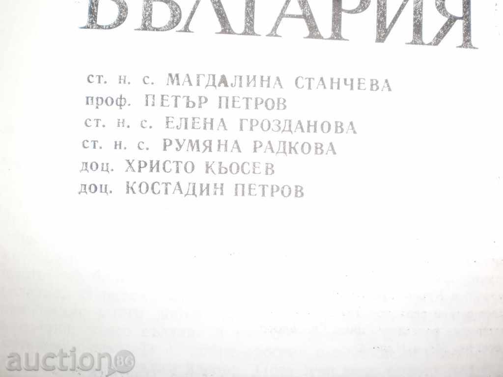 Auction  Talks about Bulgaria