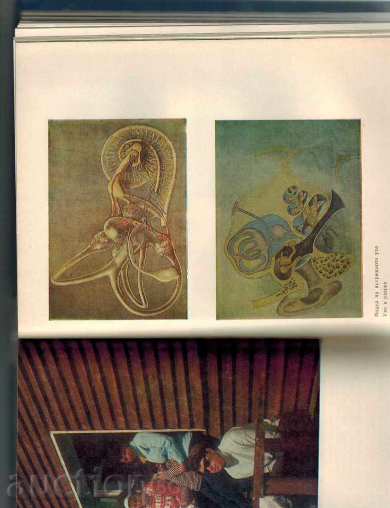 Auction NEW HOUSEHOLD - T. TASHEV AND OTHERS. - 1969 Г. Auction NEW HOUSEHOLD - T. TASHEV AND OTHERS. - 1969 Г.