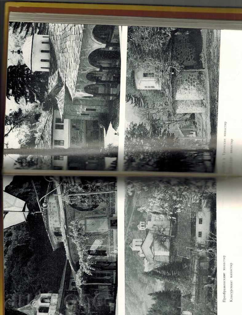 Auction  THE BEARS OF BULGARIA - B. NIKOLOV; M. MANOLOV