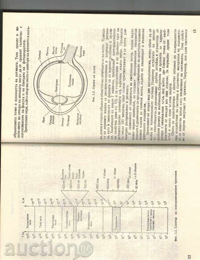 Auction HELP OF THE TELEVISION VISION - I. STARBANOV Auction HELP OF THE TELEVISION VISION - I. STARBANOV