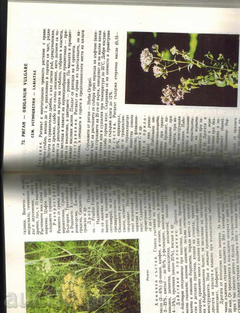 Auction  NATURAL PHARMACY - D. PAMUKOV; H. AHTARDJIEV