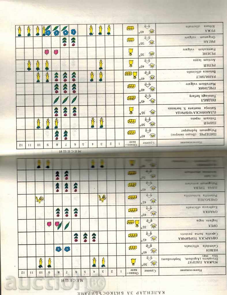 NATURAL PHARMACY - D. PAMUKOV; H. AHTARDJIEV - 5