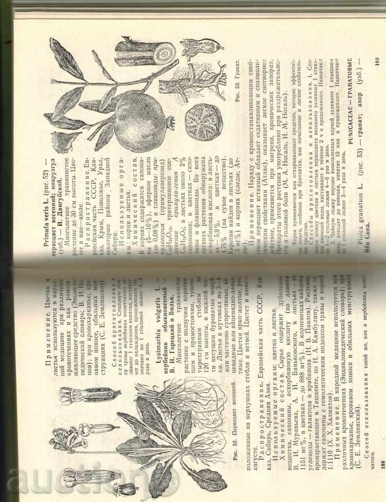 Delivery of KROVOOSTANALVUSTYE PLANT - I. AKOPOV / RUSSIAN / Delivery of KROVOOSTANALVUSTYE PLANT - I. AKOPOV / RUSSIAN /