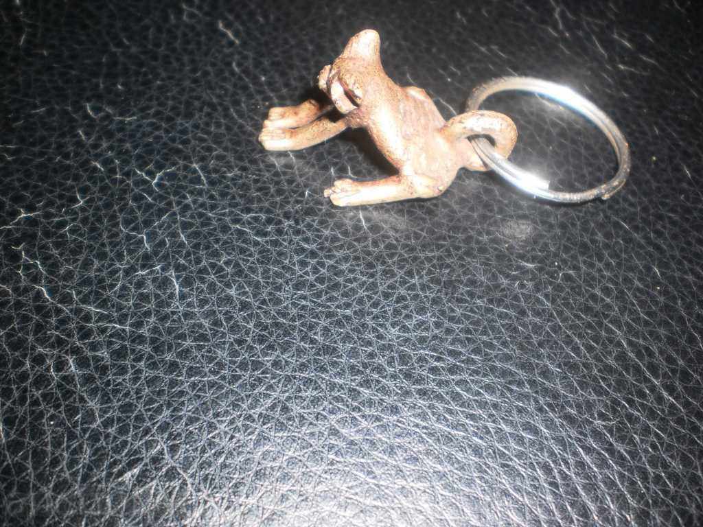 Delivery of Bronze-frog key holder Delivery of Bronze-frog key holder