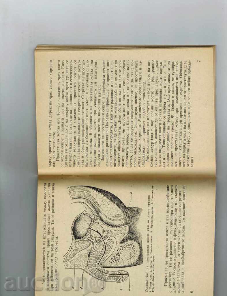 Auction DISEASES OF THE PROSTATE GOLD - IV. VIKTOROV Auction DISEASES OF THE PROSTATE GOLD - IV. VIKTOROV