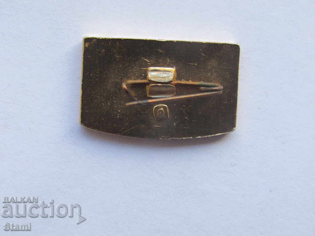 Delivery of DUNAY badge Delivery of DUNAY badge