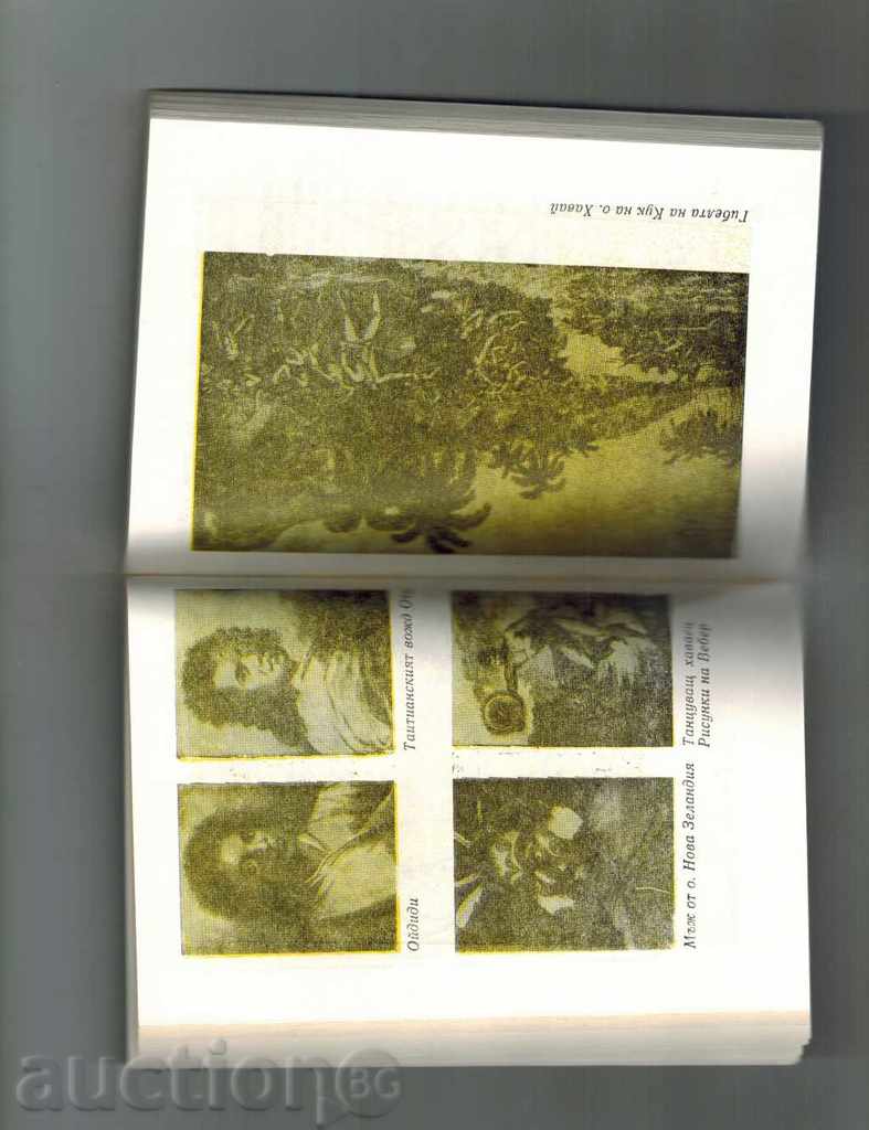 Delivery of JAMES CUCK - Y. SVET Delivery of JAMES CUCK - Y. SVET