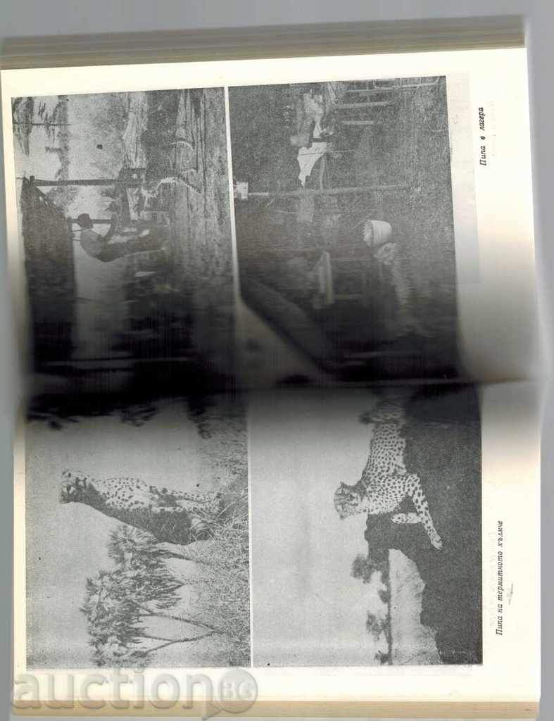 Auction JOHN ADAMSON Auction JOHN ADAMSON