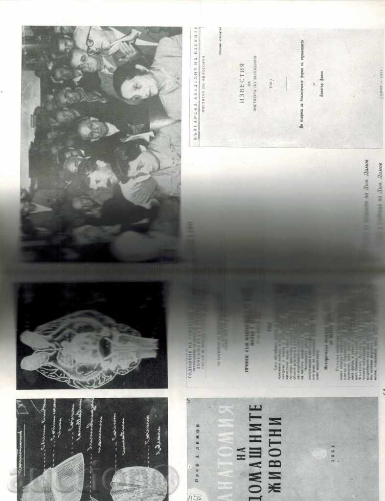 Auction DIMITAR DIMOV Auction DIMITAR DIMOV