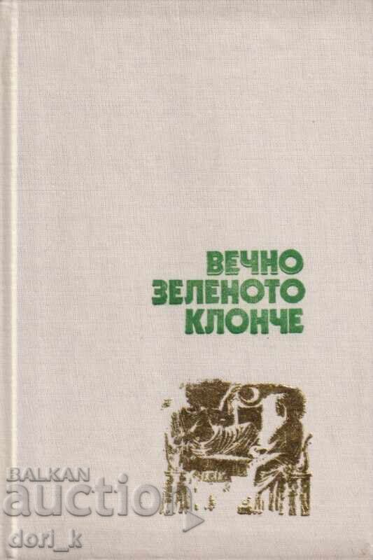 The evergreen branch The evergreen branch