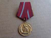 Medalie de medalie de merit militant, insigne
