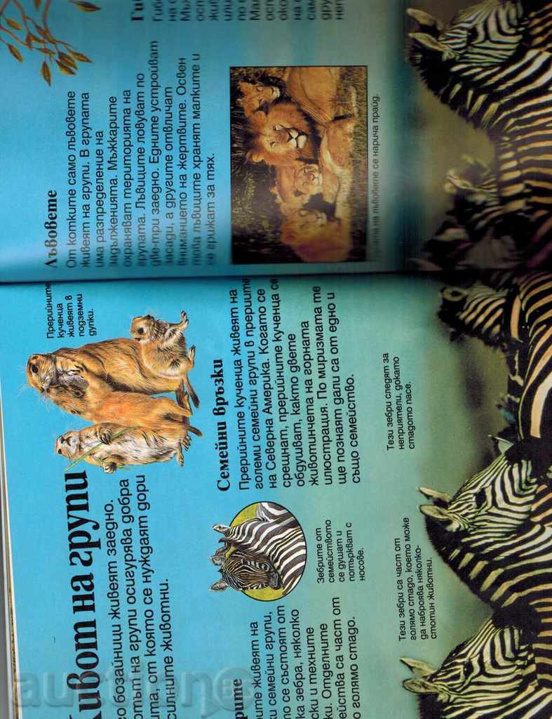 Auction  MY FIRST ENCYCLOPEDIA FOR ANIMALS - P. DAUSUEL