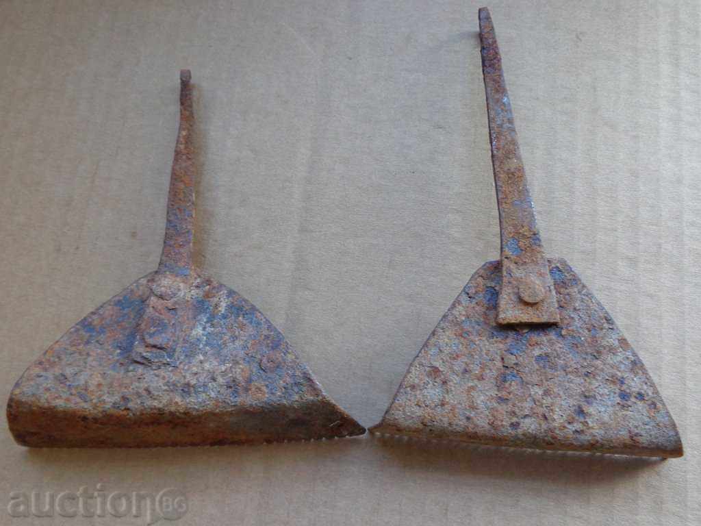 Auction Lot of fungi fungi Auction Lot of fungi fungi