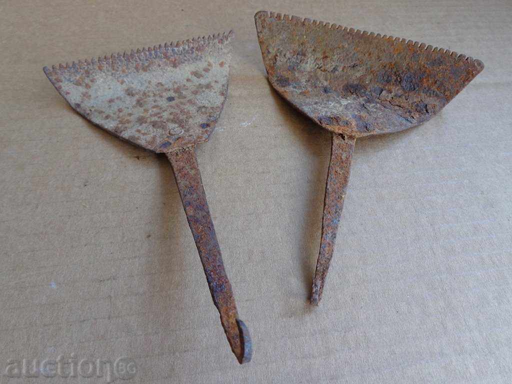 Delivery of Lot of fungi fungi Delivery of Lot of fungi fungi