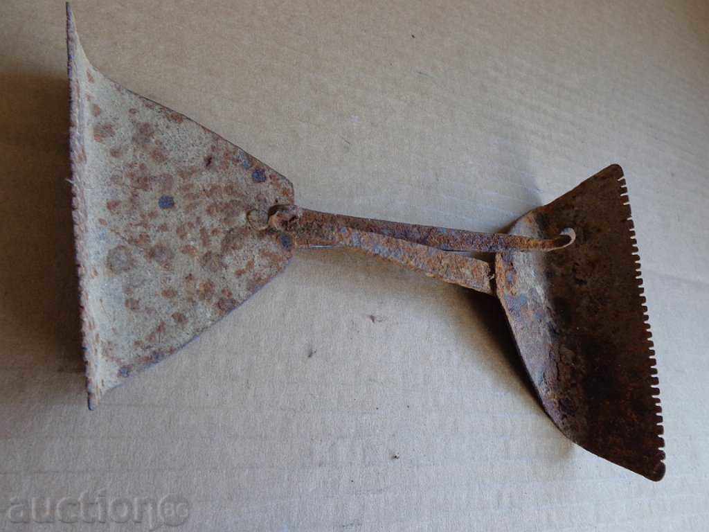 Lot of fungi fungi - 5 Lot of fungi fungi - 5