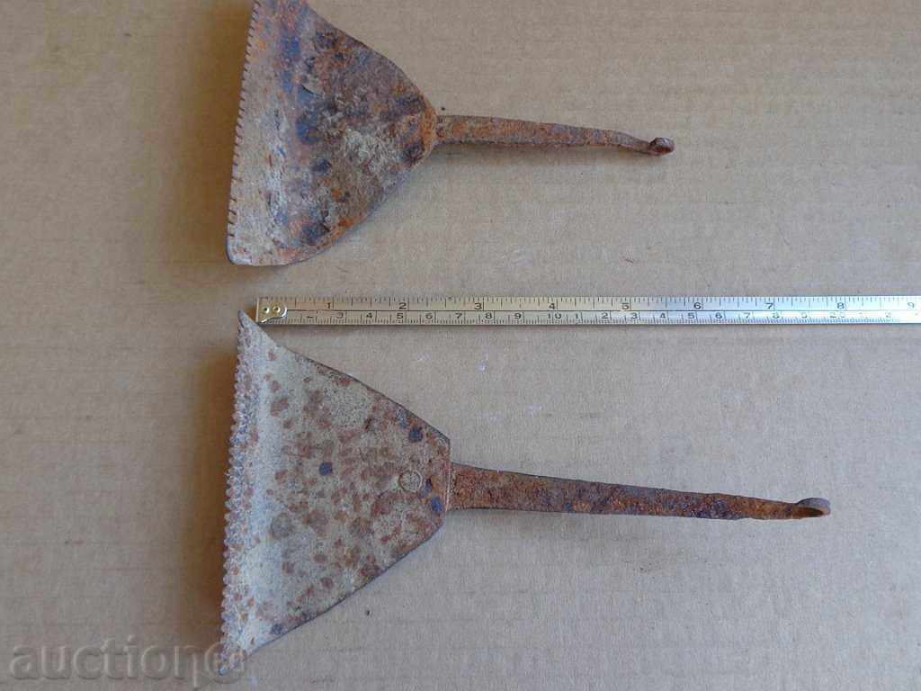 Lot of fungi fungi - 6 Lot of fungi fungi - 6