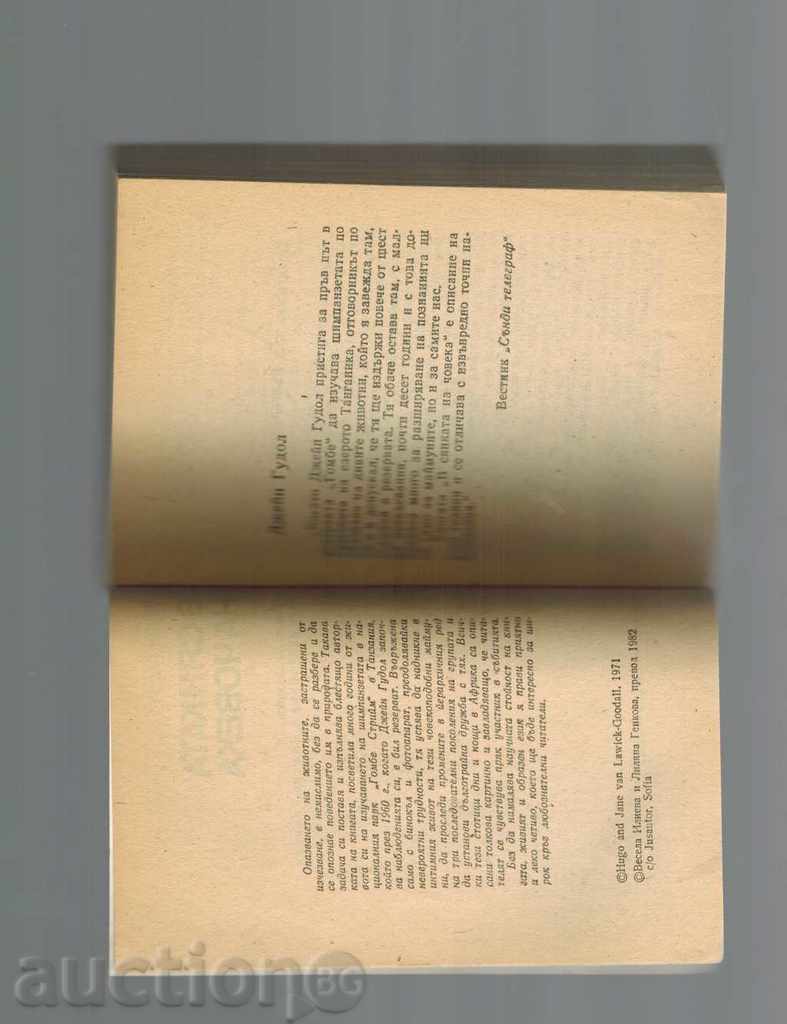 Auction  IN HUMAN SHADOW / HUMAN MAMMUNY / - JAINE GUDOL