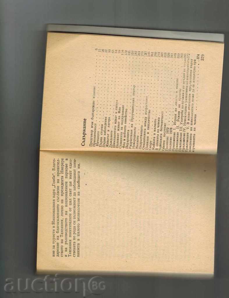 IN HUMAN SHADOW / HUMAN MAMMUNY / - JAINE GUDOL - 5