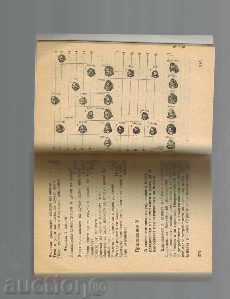 IN HUMAN SHADOW / HUMAN MAMMUNY / - JAINE GUDOL - 7