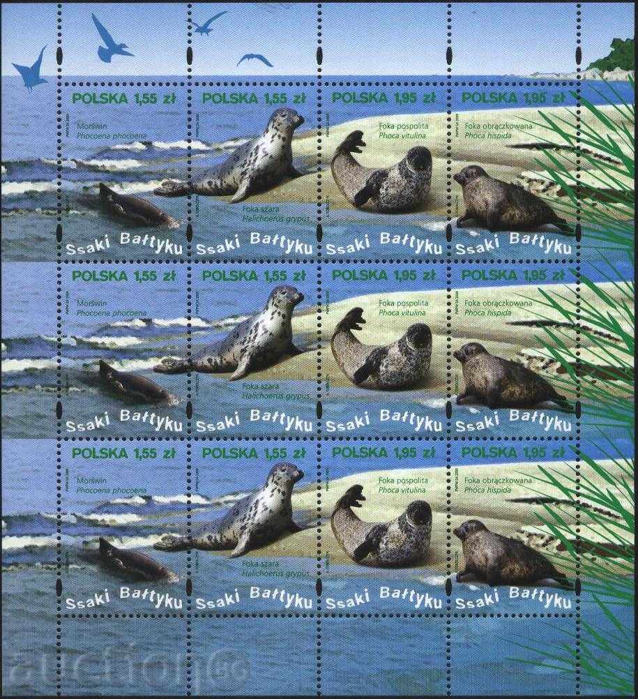 Чисти марки в малък лист Тюлени 2009 от Полша
